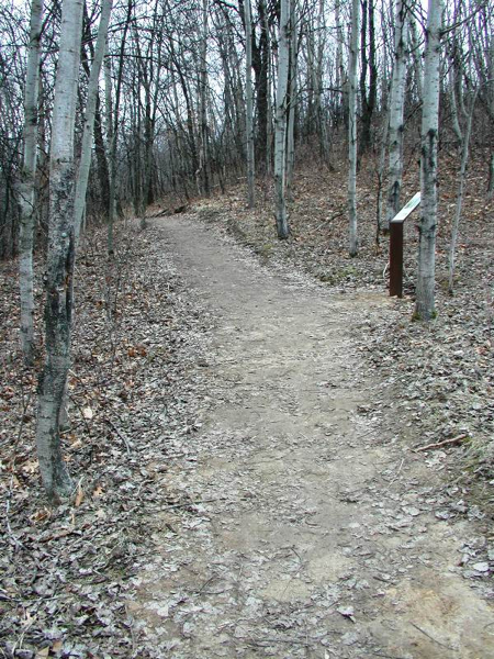accessible-hikng-trail