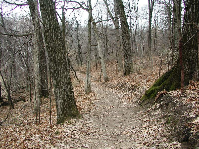 more-hiking-trail