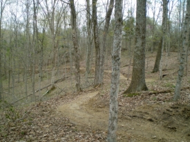 trail-winding-through-woods